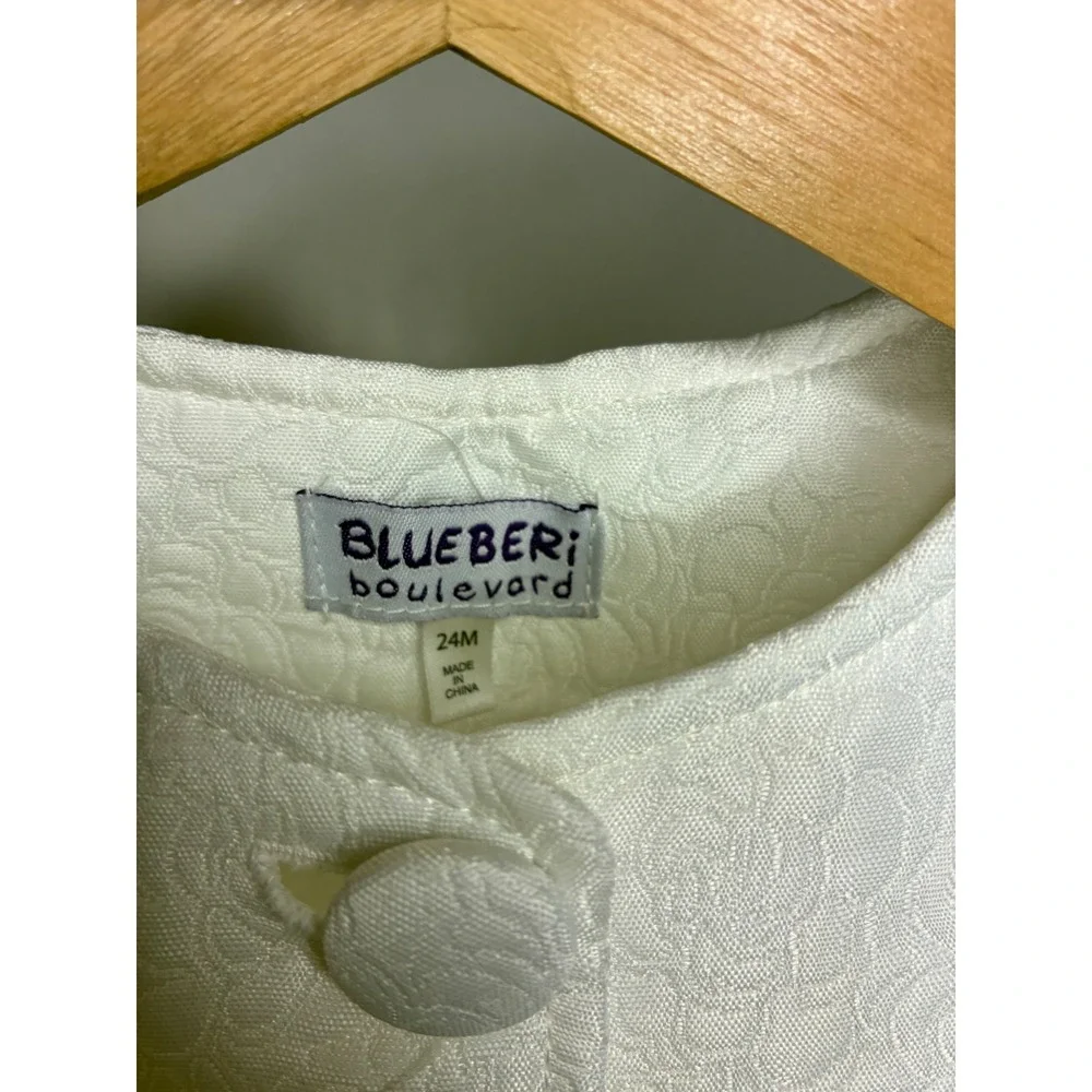 Blueberi Boulevard Dress Girls 24M White BBSIH59 Jacquard Floral Rose Dress